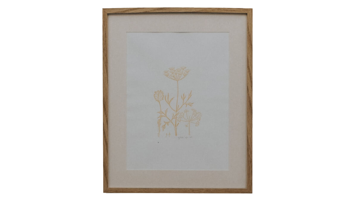 Wild Flowers